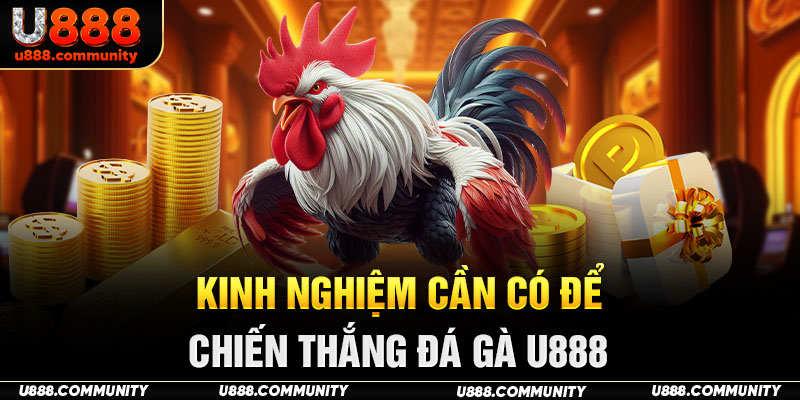 Kinh nghiệm cần có để chiến thắng đá gà U888