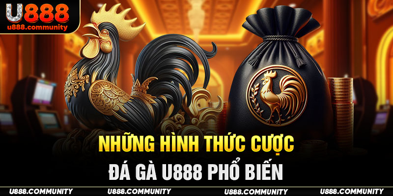 Những hình thức cược đá gà U888 phổ biến 